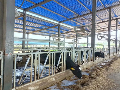 熱鍍鋅牛頸夾：現代養殖場的智能管控利器